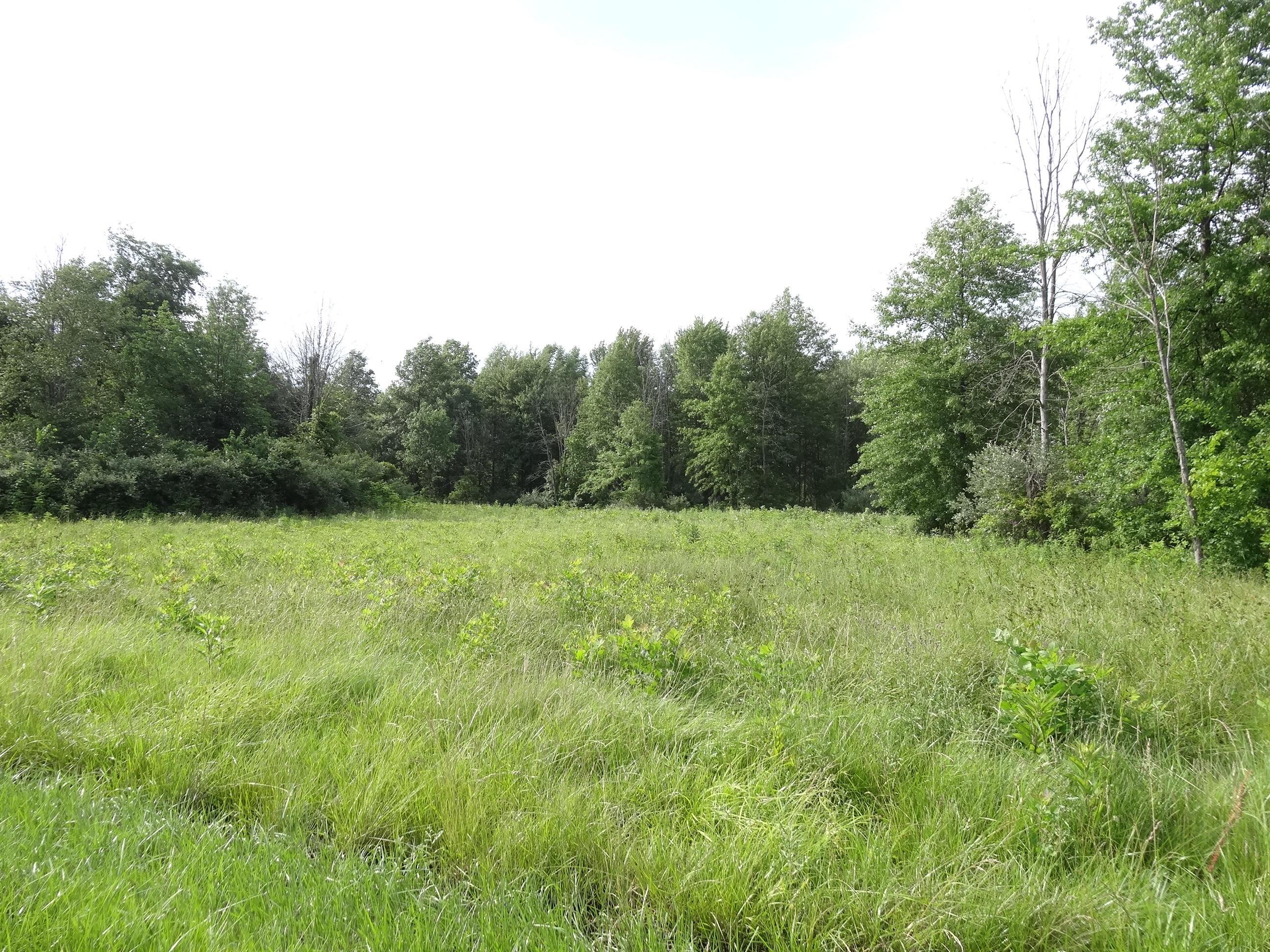 330 Troutman Road Delaware, OH 43015 - Photo 3 of 4