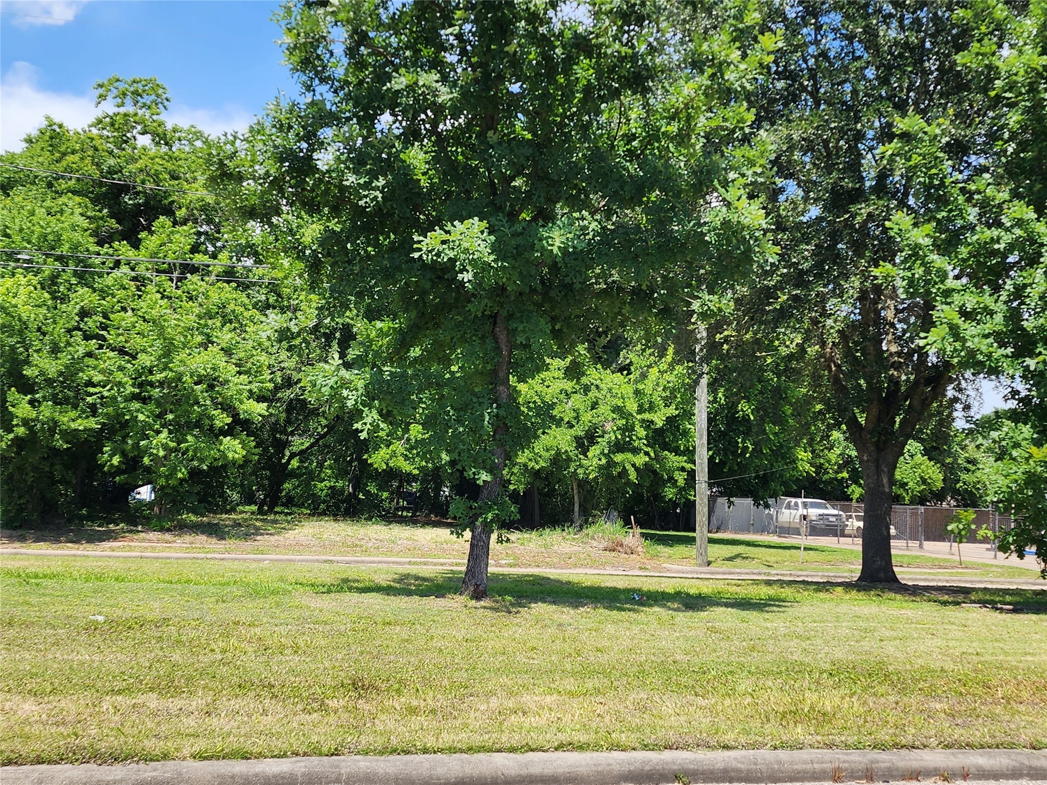3229 Elgin Street Houston, TX 77004 - Photo 3 of 7 Elgin Street has a tree-lined esplanade shown here with 3229 Elgin Street on the far side.