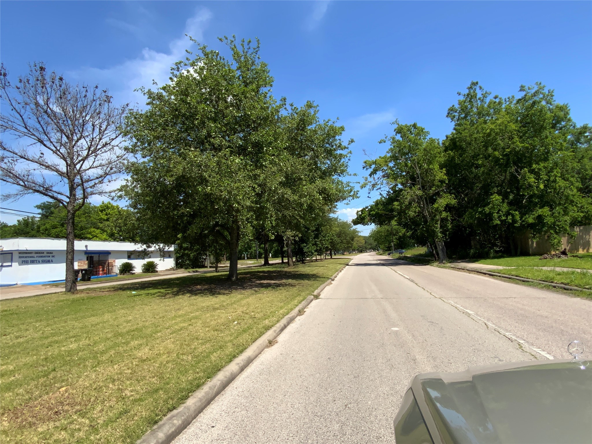 3229 Elgin Street Houston, TX 77004 - Photo 6 of 7 Tree-lined esplanade on Elgin Street