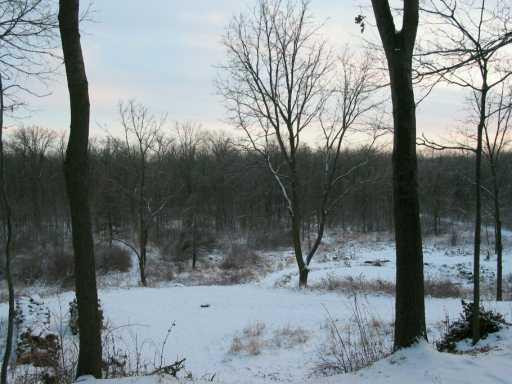 13353 McKinley Road Chelsea, MI 48118 - Photo 4 of 4 Photo 4