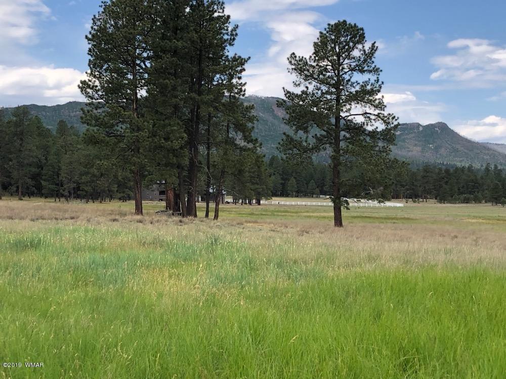 5 North Co Road Alpine, AZ 85920 - Photo 3 of 8