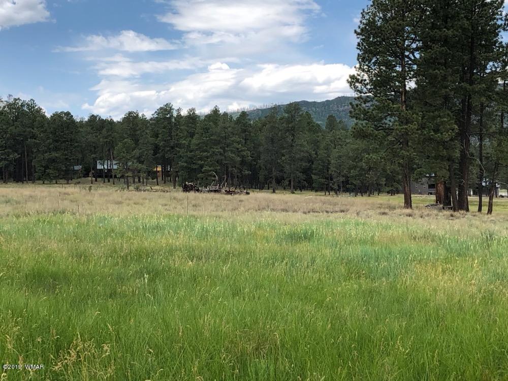 5 North Co Road Alpine, AZ 85920 - Photo 4 of 8