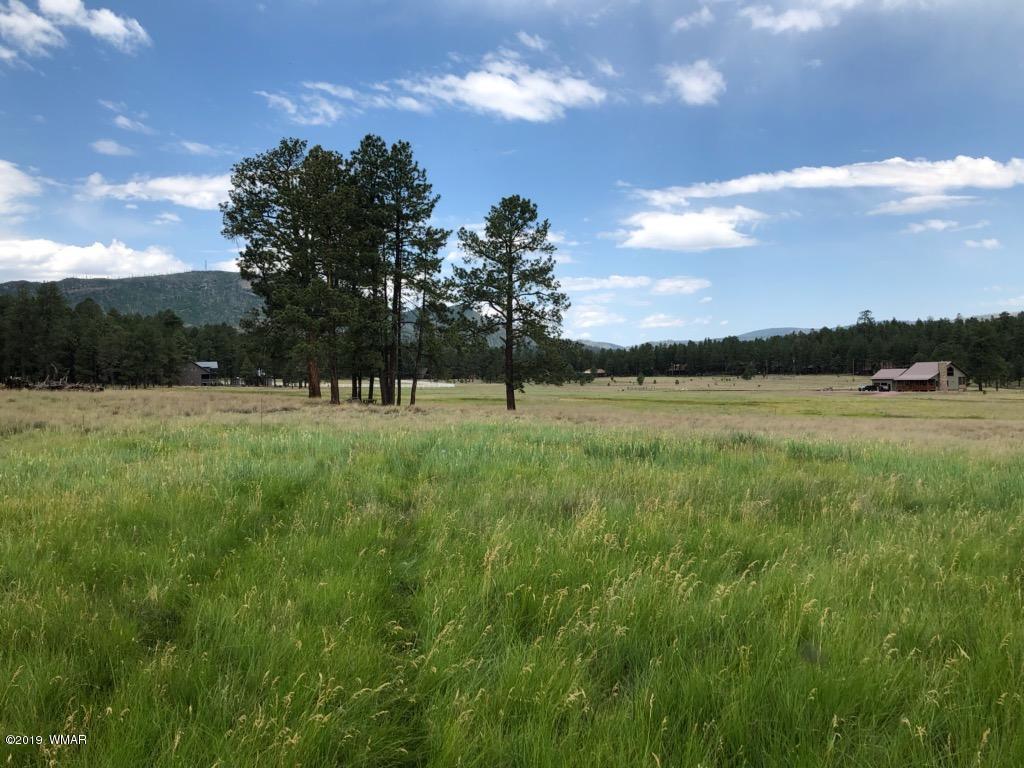 5 North Co Road Alpine, AZ 85920 - Photo 5 of 8