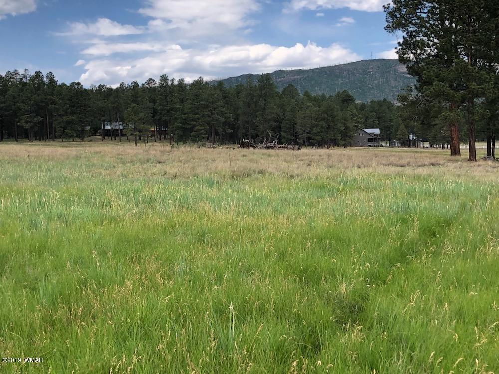 5 North Co Road Alpine, AZ 85920 - Photo 6 of 8
