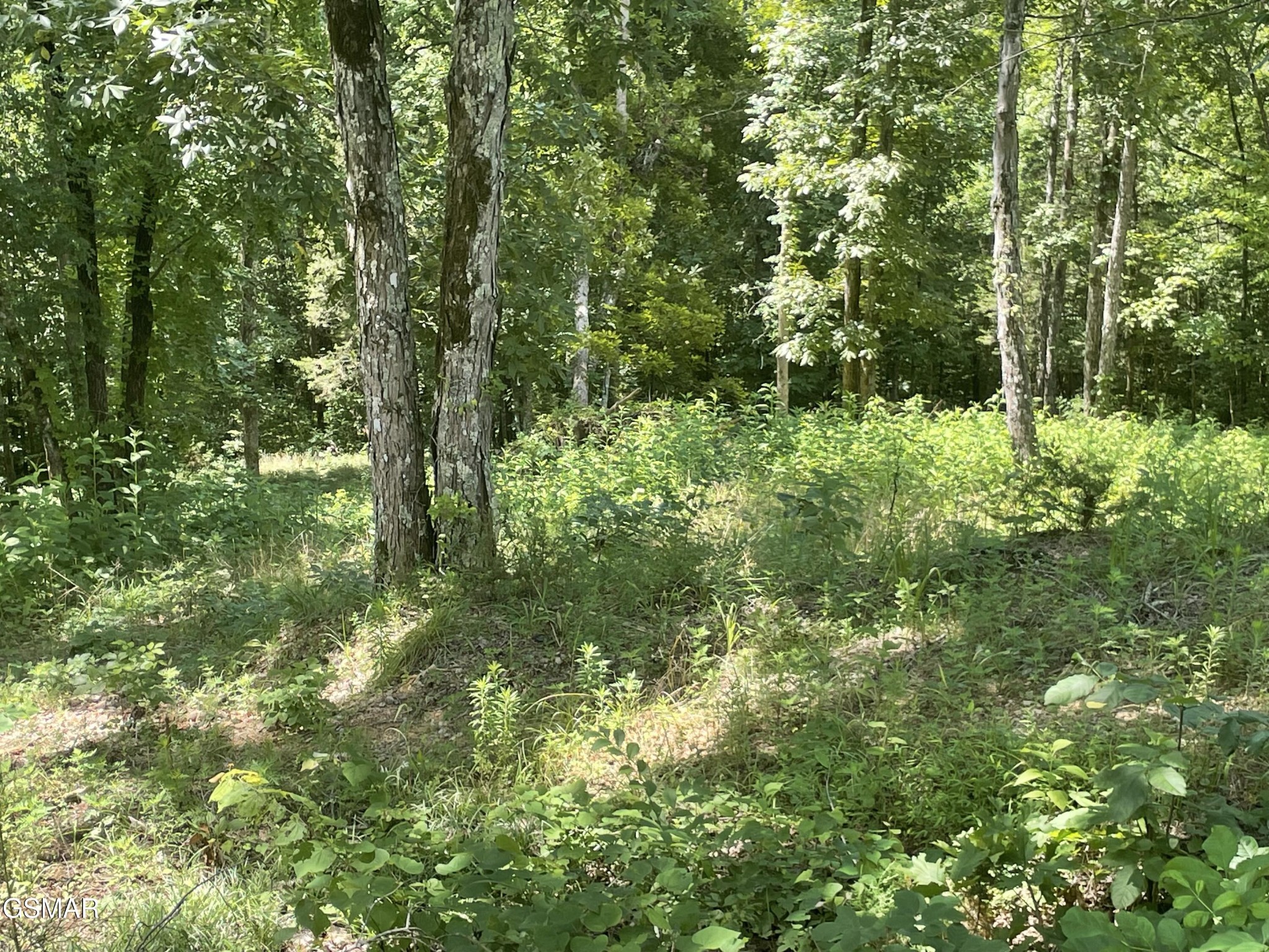 1 King Estates Road Sevierville, TN 37876 - Photo 2 of 9