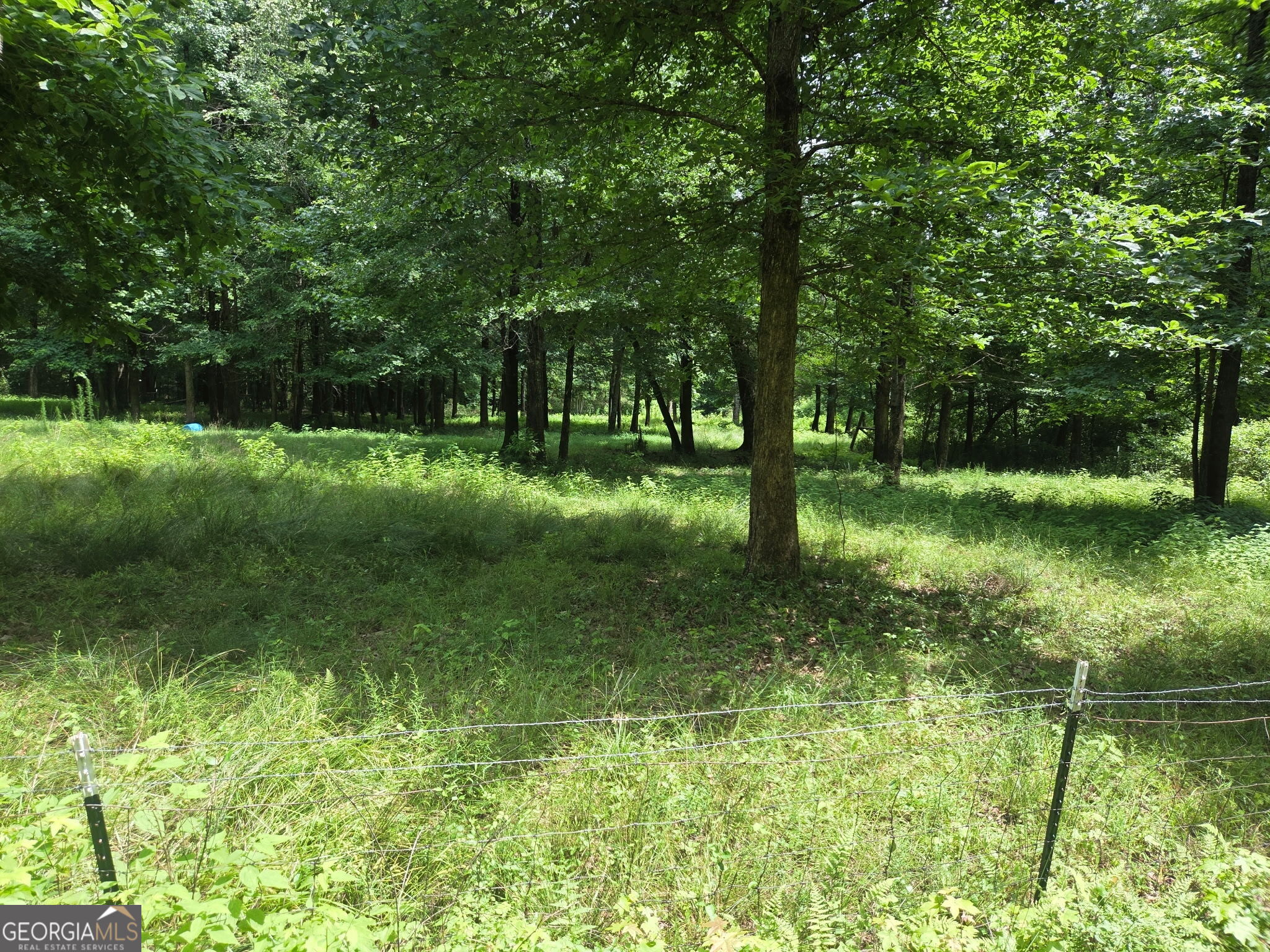408 Bowen Road Milner, GA 30257 - Photo 32 of 36 a view of a yard with a tree