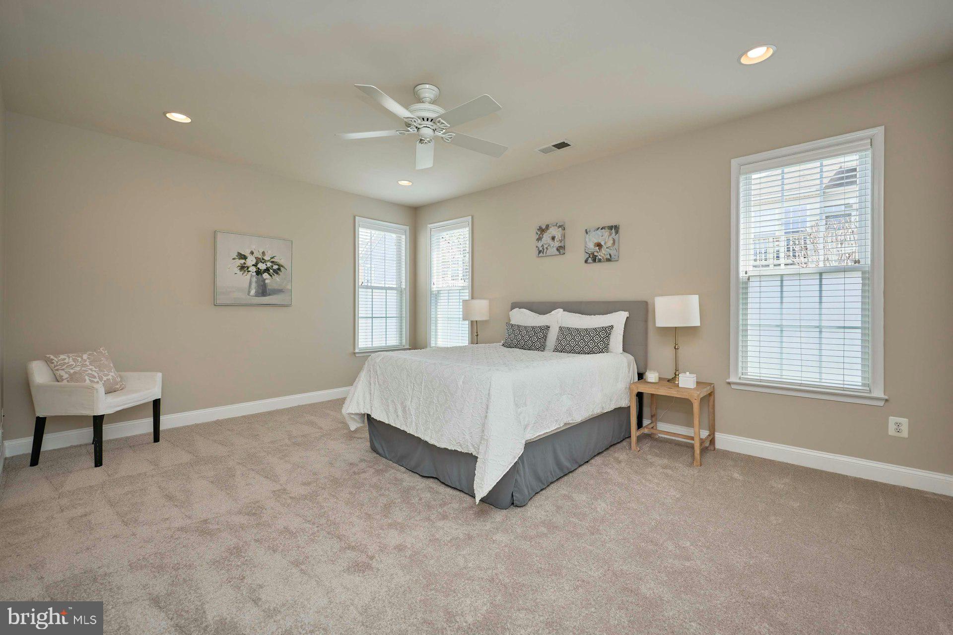 6907 Broadleaf Terrace Gainesville, VA 20155 - Photo 24 of 54 Primary Bedroom on Main Level with New Carpet