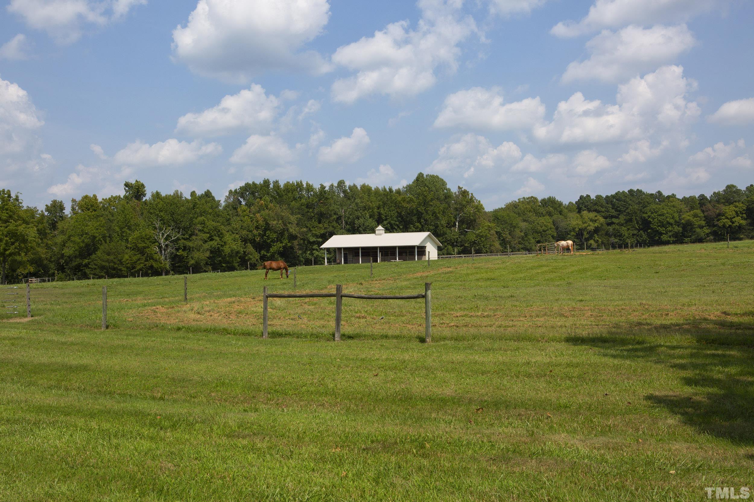 Lot 6 Ben Wilson Road Mebane, NC 27302 - Photo 8 of 9 Gallery Image 8