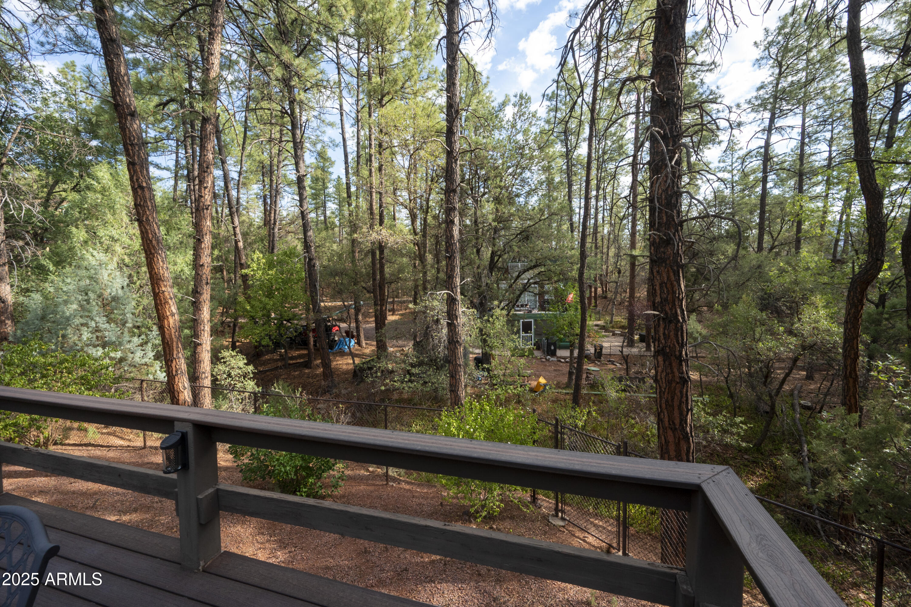 3570 Pine View Drive Pine, AZ 85544 - Photo 32 of 39 Hayes-2