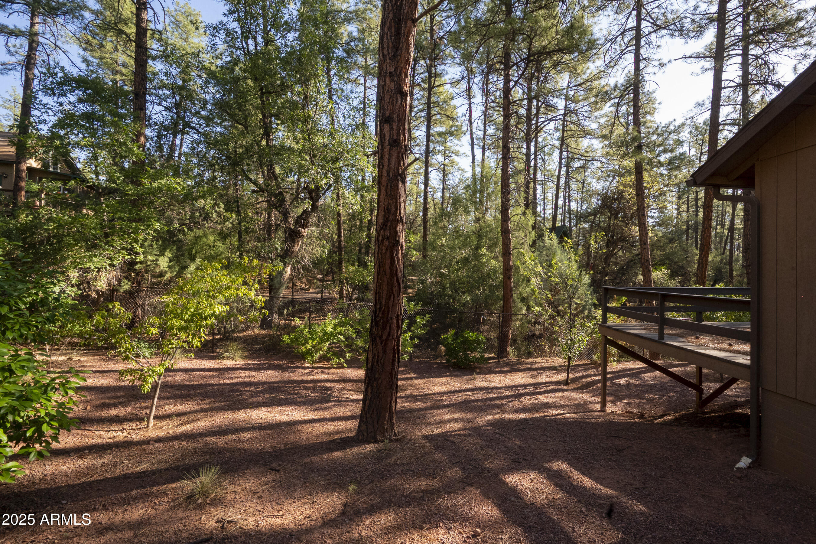 3570 Pine View Drive Pine, AZ 85544 - Photo 33 of 39 Hayes-6