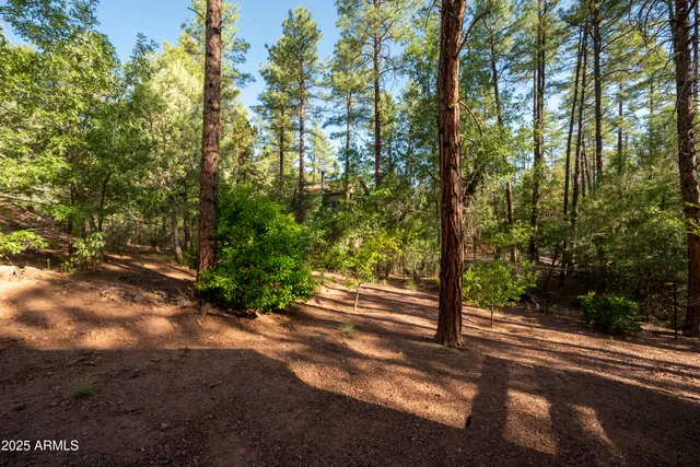 $495,000 | 3570 Pine View Drive, Pine, AZ 85544