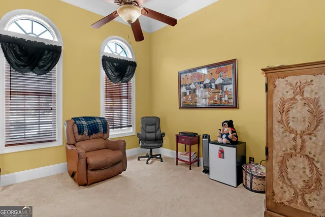 a view of a park with large trees