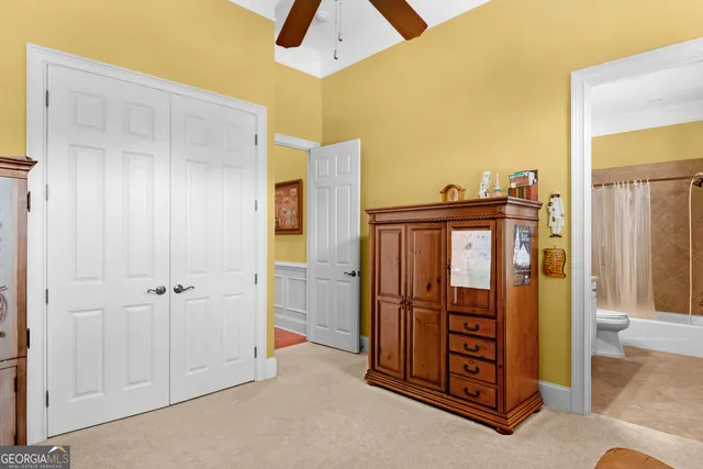 a view of a park with large trees