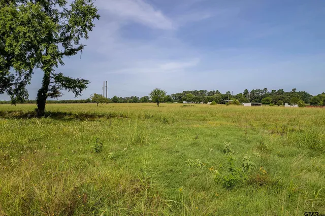 a view of a lake with houses in the background