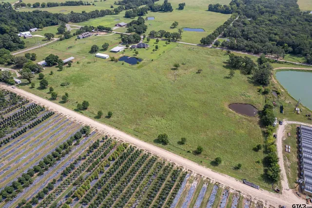 a view of outdoor space and garden