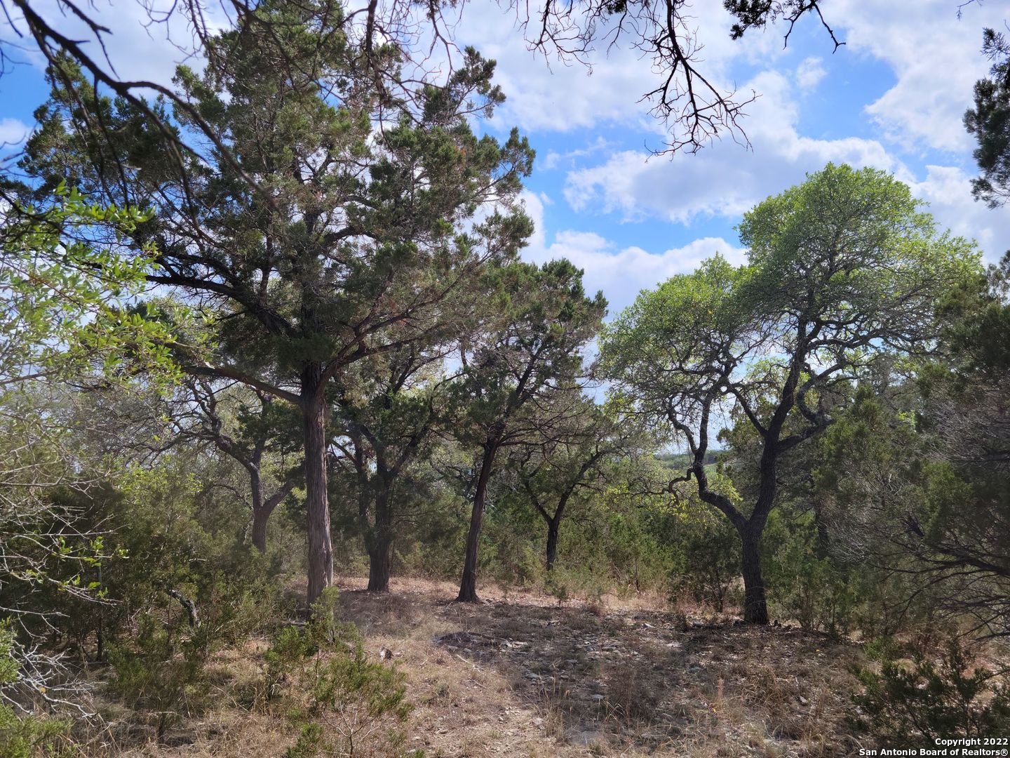 2515 Smoke Rise Bulverde, TX 78163 - Photo 14 of 22 a view of a forest