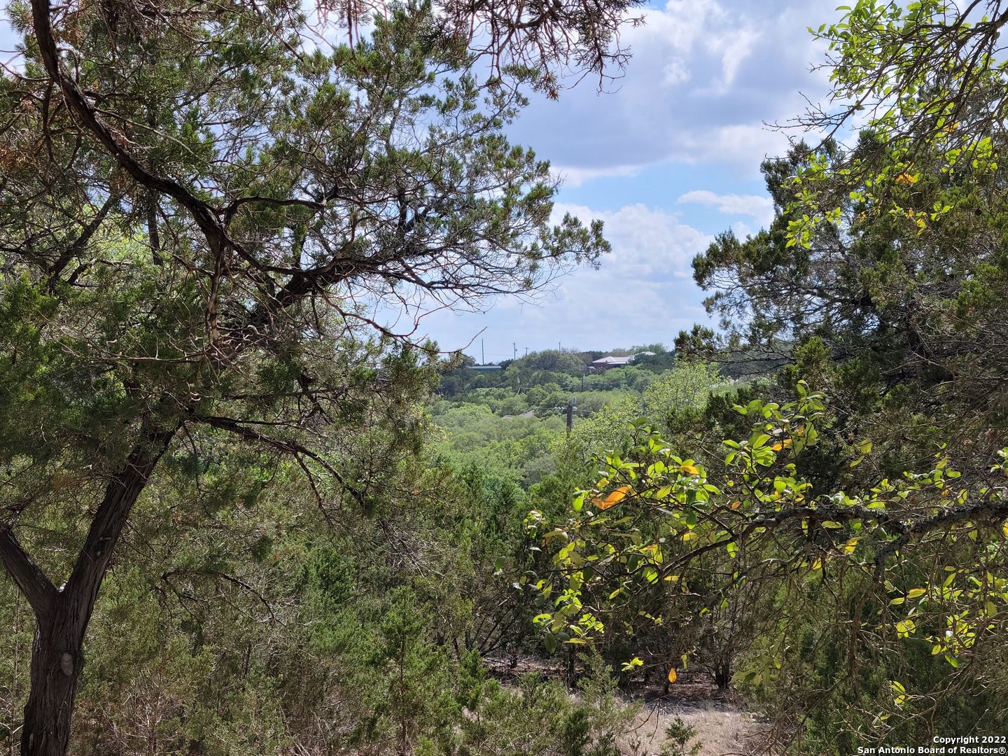 2515 Smoke Rise Bulverde, TX 78163 - Photo 15 of 22 a view of a bunch of trees