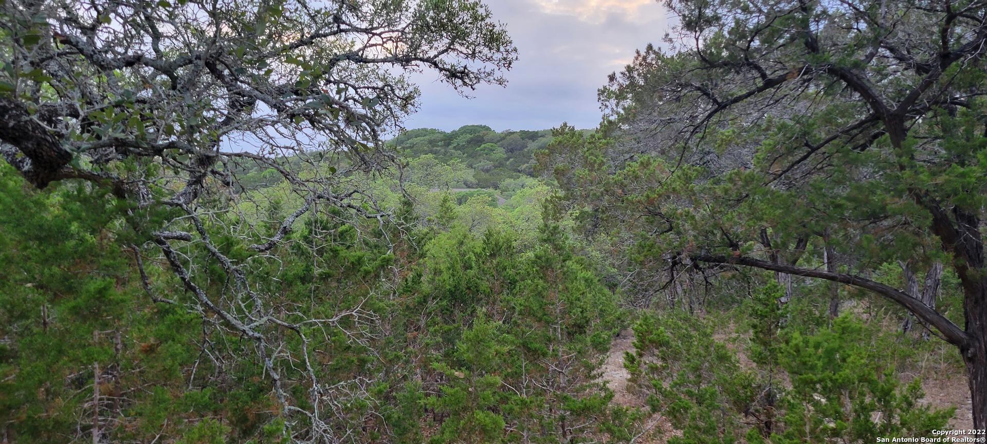 2515 Smoke Rise Bulverde, TX 78163 - Photo 19 of 22 a view of a forest with a tree