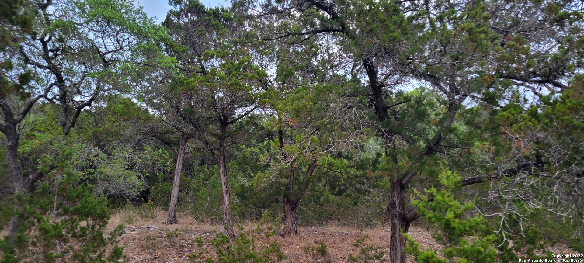 2515 Smoke Rise Bulverde, TX 78163 - Photo 21 of 22 a view of a forest