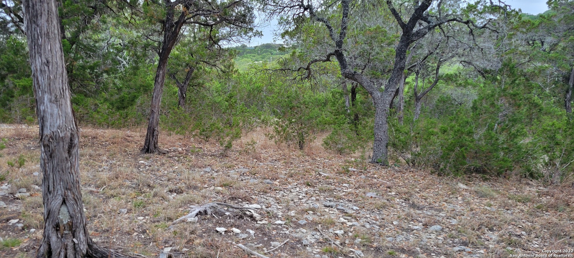 2515 Smoke Rise Bulverde, TX 78163 - Photo 22 of 22 a view of a forest with trees in the background