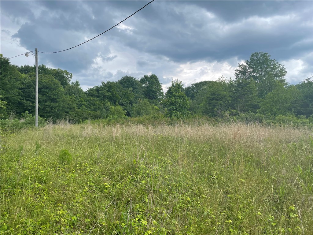 156 Zion School Road Easley, SC 29642 - Photo 31 of 42 Gallery Image 31