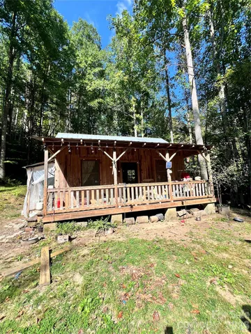 a view of a forest with trees