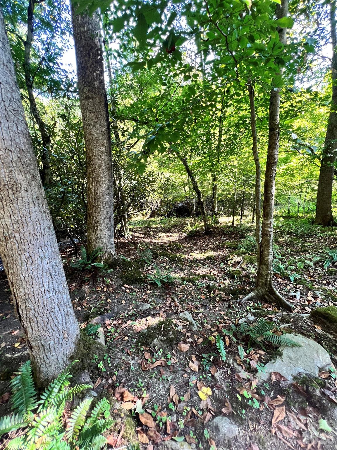 0 Battle Branch Road Bakersville, NC 28705 - Photo 18 of 18 Gallery Image 18