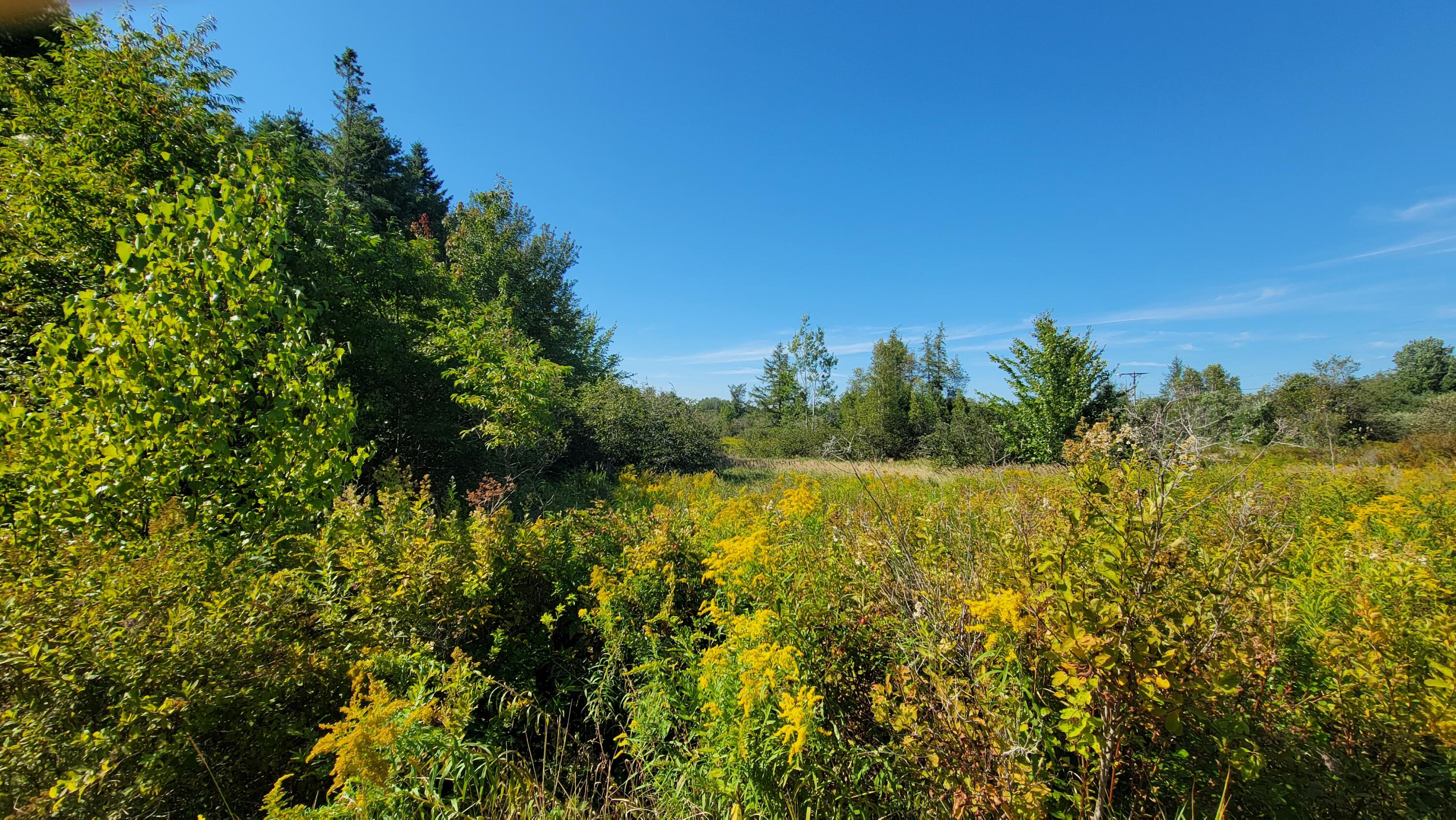 Lot 23 Bay Road Jonesboro, ME 04648 - Photo 14 of 16 20250823_152502