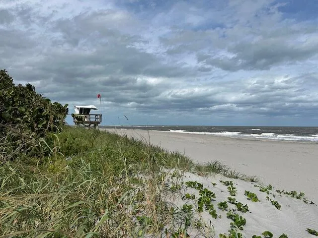 a view of beach and ocean