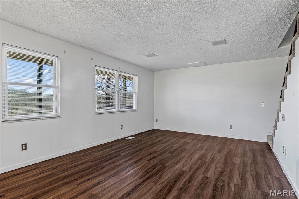 4453 Drury Road Festus, MO 63028 - Photo 13 of 47