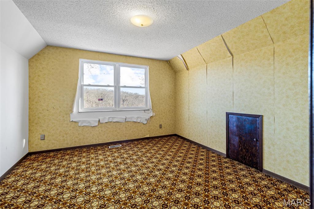 4453 Drury Road Festus, MO 63028 - Photo 24 of 47