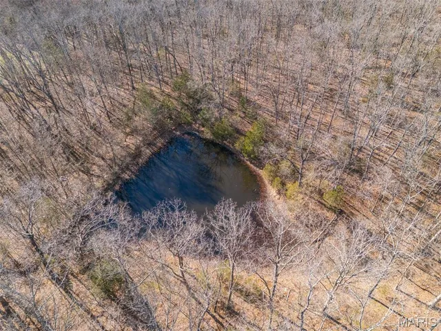 $539,000 | 4453 Drury Road, Festus, MO 63028