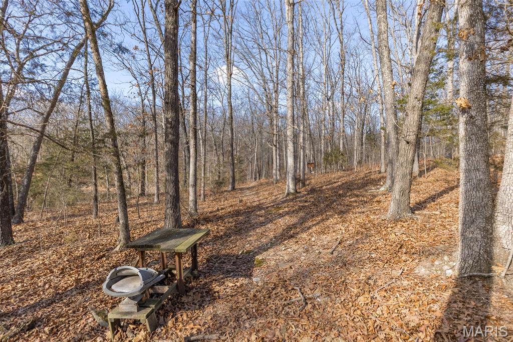 4453 Drury Road Festus, MO 63028 - Photo 41 of 47