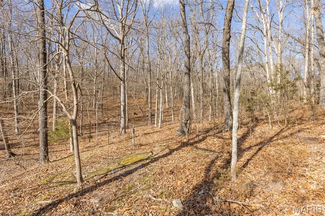 $539,000 | 4453 Drury Road, Festus, MO 63028