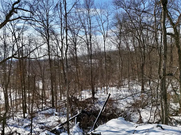 a view of a forest with trees