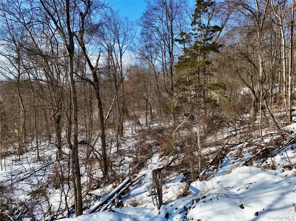$200,000 | Tbd County Route 12, New Hampton, NY 10958