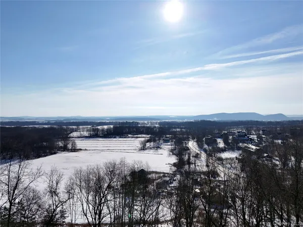 a black and white photo of a painting