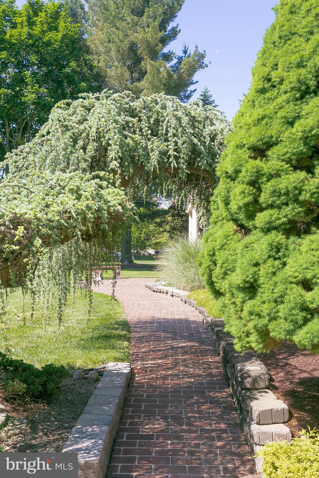 6 Edgewood Road Robbinsville, NJ 08691 - Photo 3 of 37 lovely landscaped entry