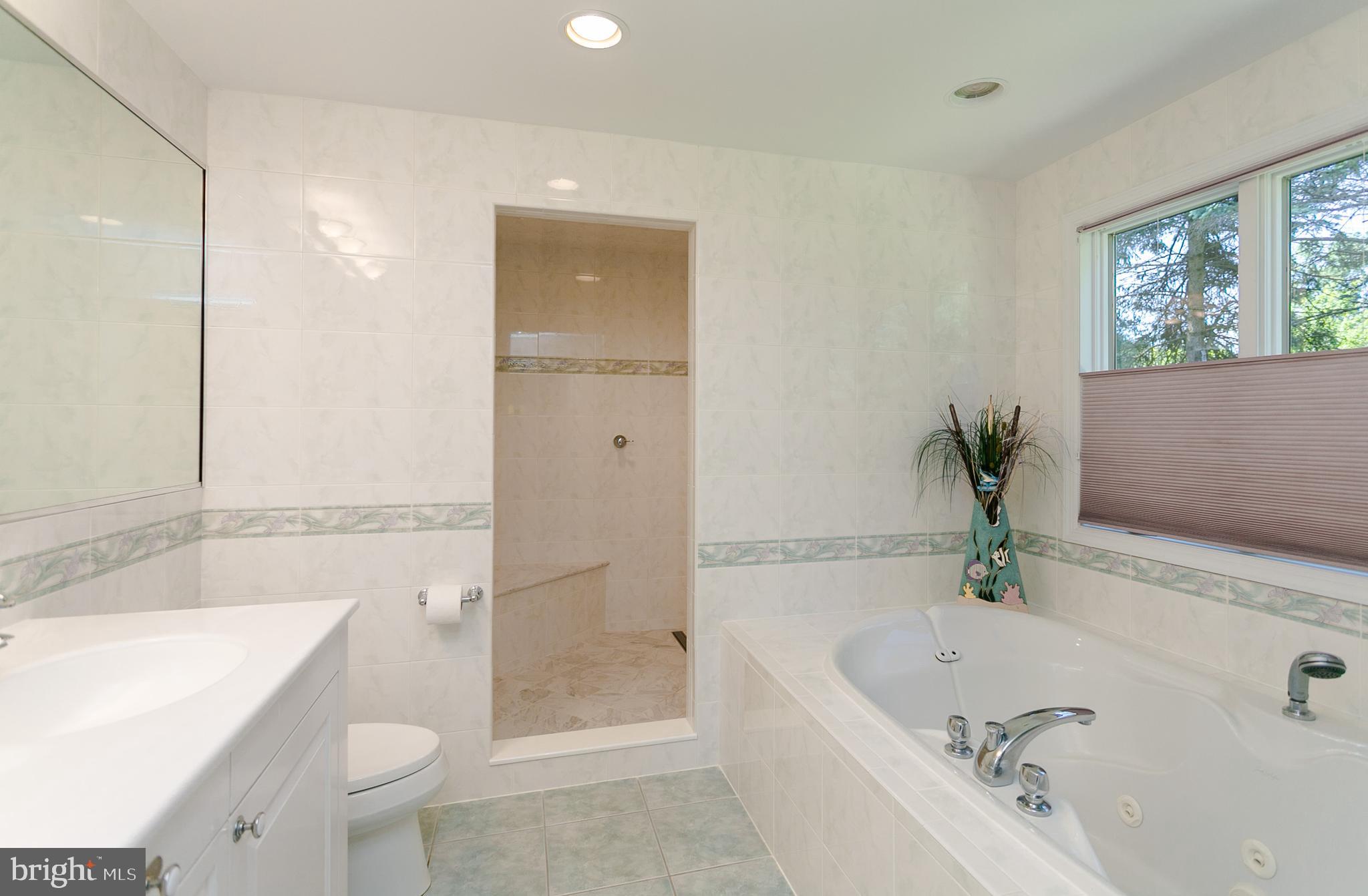 6 Edgewood Road Robbinsville, NJ 08691 - Photo 25 of 37 master bath