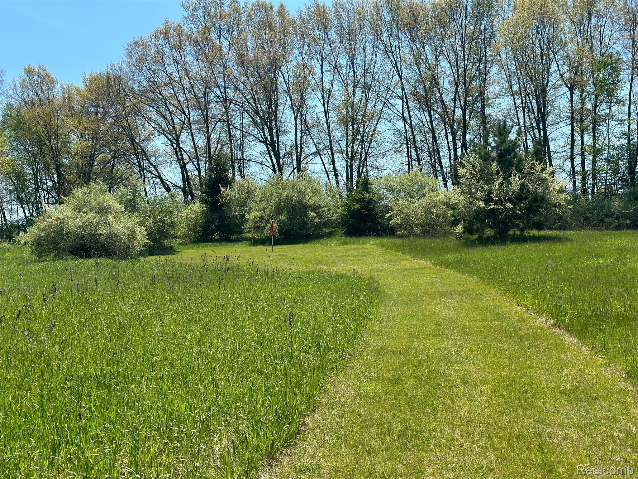 2227 Pheasant Rdg Court Lapeer, MI 48446 - Photo 52 of 55 Gallery Image 52