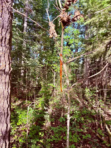 $149,900 | Tbd 25th Avenue Southeast, Baudette, MN 56623