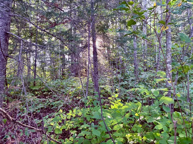 $149,900 | Tbd 25th Avenue Southeast, Baudette, MN 56623