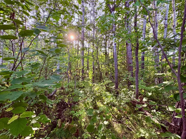 $149,900 | Tbd 25th Avenue Southeast, Baudette, MN 56623