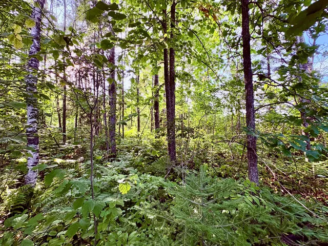 $149,900 | Tbd 25th Avenue Southeast, Baudette, MN 56623