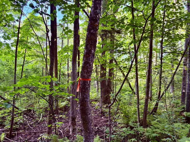 $149,900 | Tbd 25th Avenue Southeast, Baudette, MN 56623