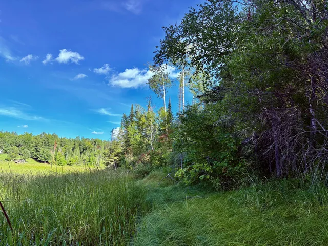 $149,900 | Tbd 25th Avenue Southeast, Baudette, MN 56623