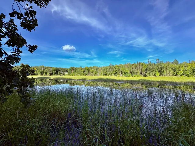 $149,900 | Tbd 25th Avenue Southeast, Baudette, MN 56623