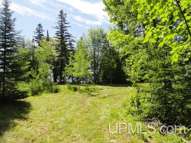 Tbd Puuri Road Baraga, MI 49908 - Photo 11 of 20