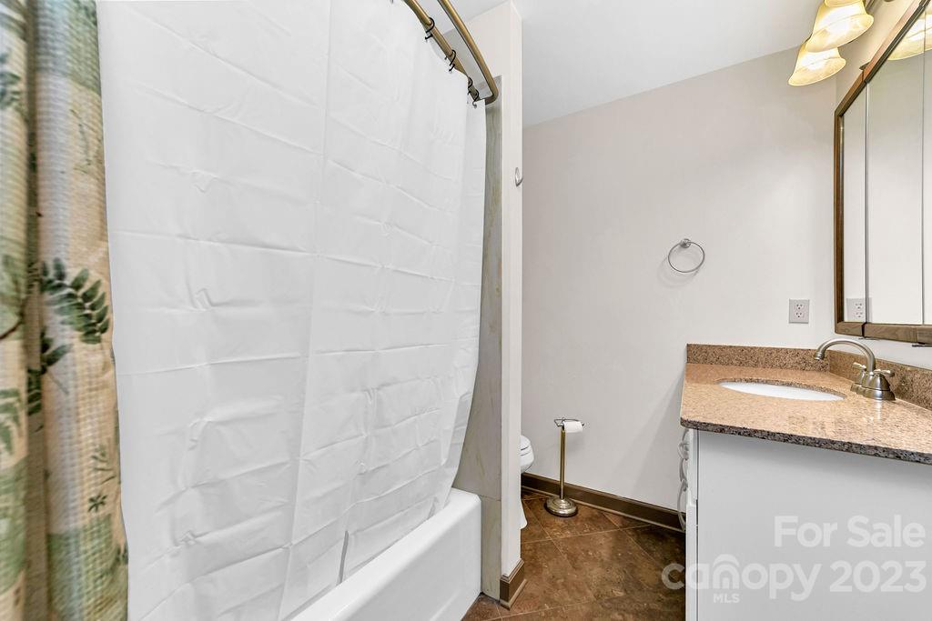 330 Beau Valley Road Tryon, NC 28782 - Photo 26 of 42 a bathroom with a sink and a mirror