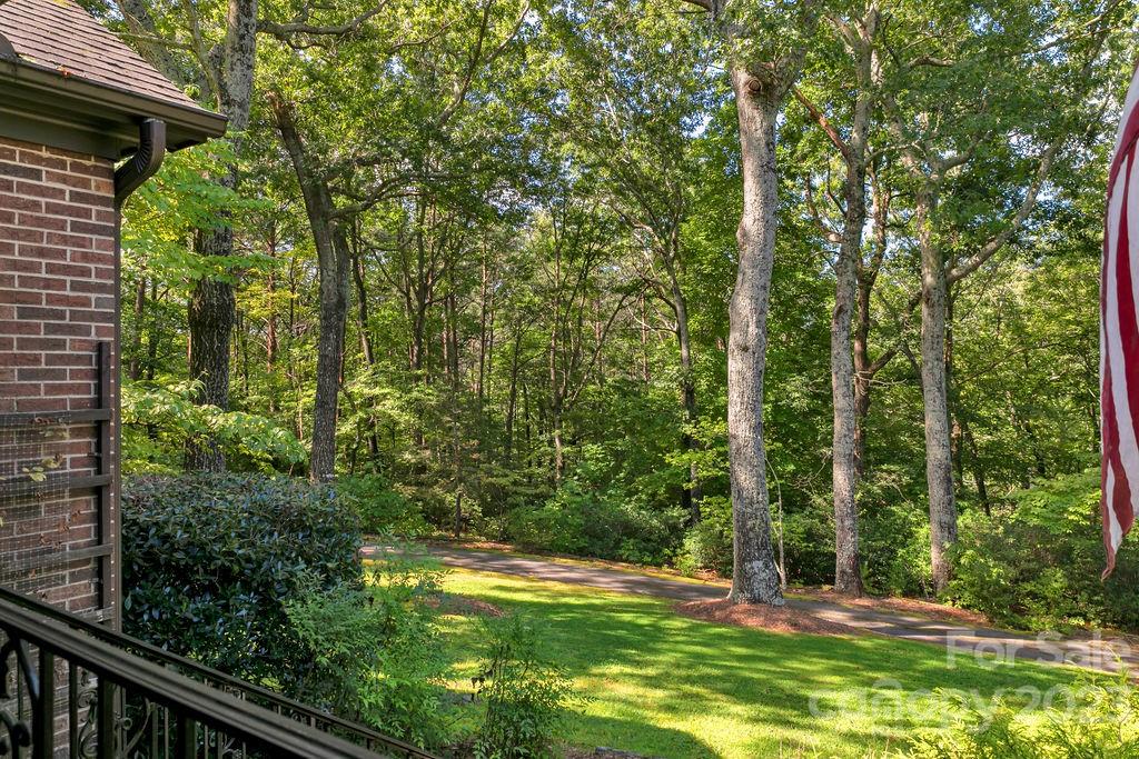 330 Beau Valley Road Tryon, NC 28782 - Photo 39 of 42 a view of a yard with potted plants